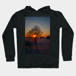 Sunset winter landscape with snow-covered road in violet and pink colors Hoodie